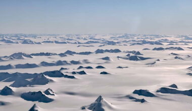 Antarctica