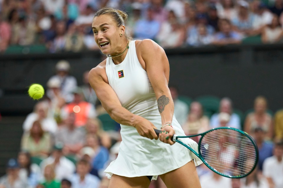Sabalenka had to deal with the loud Raducanu fans in the crowd