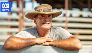 More support available for vets facing mounting mental health pressures