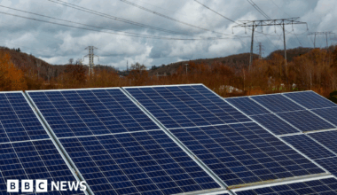 About half a dozen large solar panels are pictures from close up. Behind them is a treeline and electricity pylons.