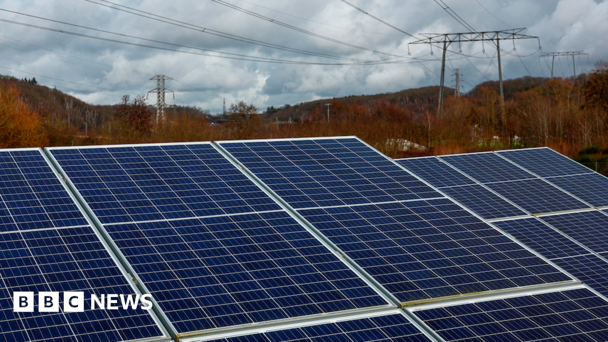 About half a dozen large solar panels are pictures from close up. Behind them is a treeline and electricity pylons.