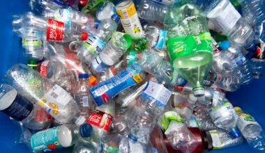 The 'get-rich' deposit trick that boosts recycling by 47%
