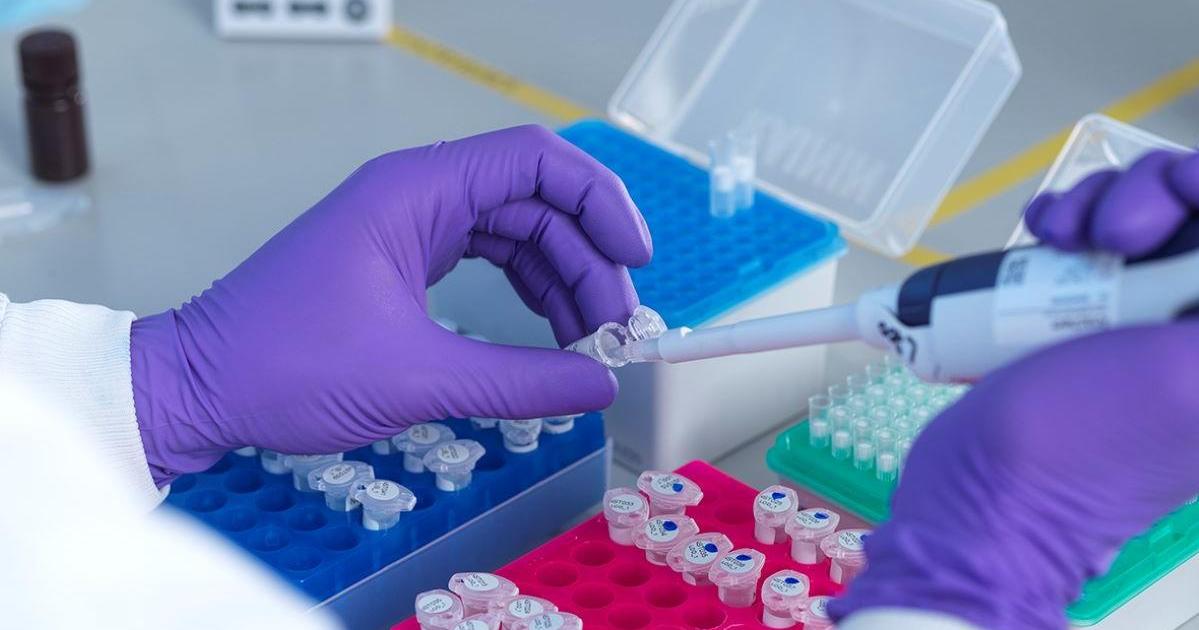 Using genetics, bioinformatics to transform UK healthcare