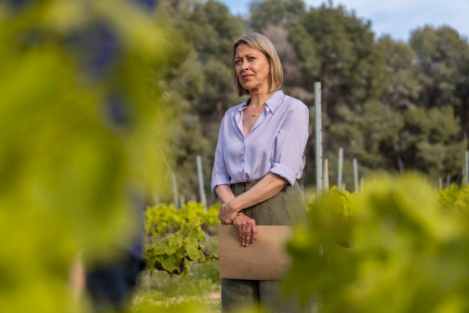 Nicola Walker as Hannah from The Split, holding a folder in a vineyard.