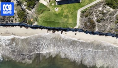 Fears king tide could inundate WA's Lancelin as council sounds alarm on coastal erosion