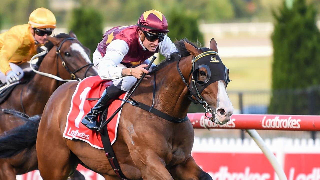 Streets Of Avalon's $350,000 half-brother Bradford to debut at Sale