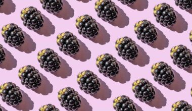 Why Blackberries Are So Good for You, According to Nutrition Experts
