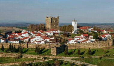 Rural Innovation - The Portugal News
