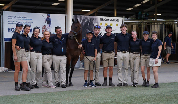 $3million Home Affairs colt from Shout the Bar is entered for the Golden Slipper.