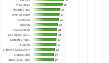 Click to see all the sires and their horses, you canlt sire the winner if you don