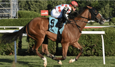 Bring Theband Home scorches to victory in Listed $150K Harvey Pack