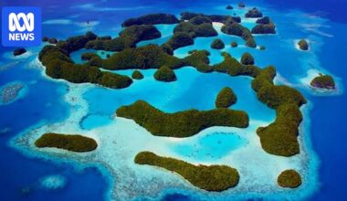 US looks to send 'third country nationals' to Palau as Trump pursues deportations