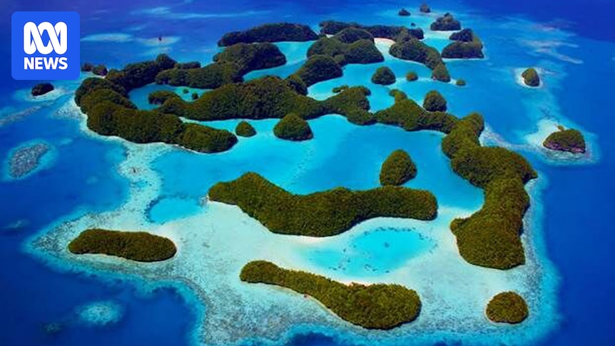 US looks to send 'third country nationals' to Palau as Trump pursues deportations