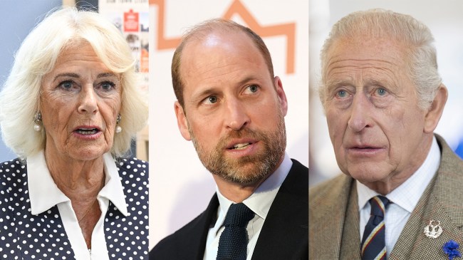 Queen Camilla Health Concerns Prince William Amid King Charles' Cancer