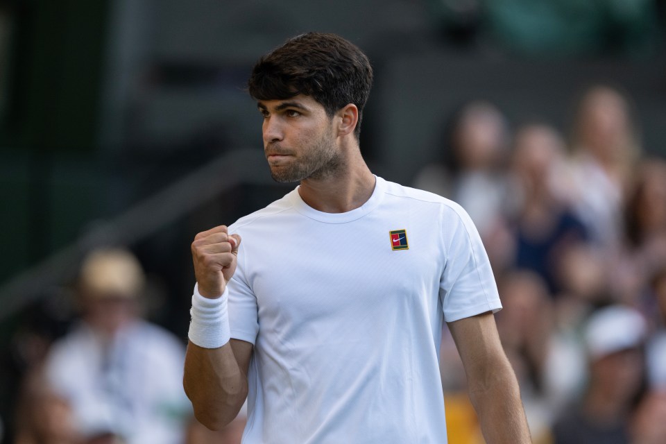 Carlos Alcaraz has shut down Nick Kyrgios' recent suggestion