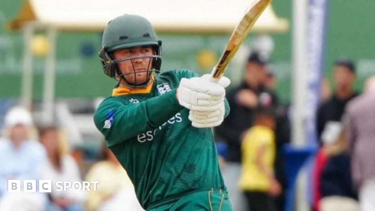 A Guernsey batter in action