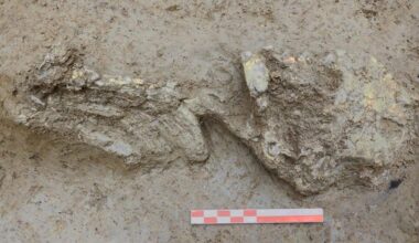 Copper Age infant discovered in Italian well reveals rare genetic origins