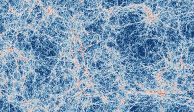 A complex web of interconnected blue and red filaments resembling a cosmic or neural network pattern, with dense clusters and branching lines creating an intricate, abstract design.