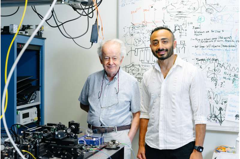 Could metasurfaces be the next quantum information processors?