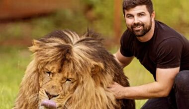Inside exotic animal trade with 12 LIONS among dangerous wild pets kept at Brits’ homes - map shows if you live near any