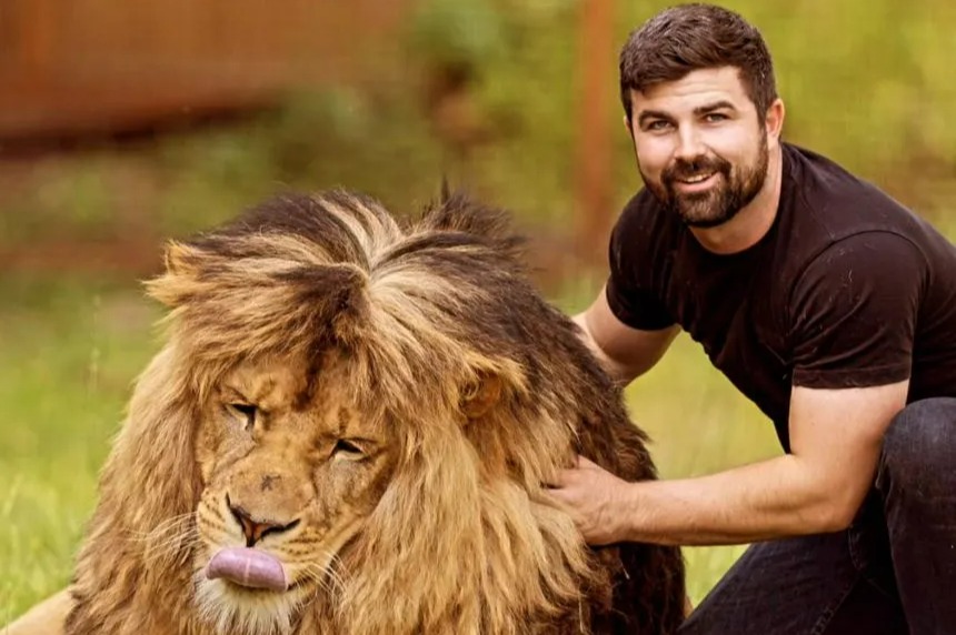 Inside exotic animal trade with 12 LIONS among dangerous wild pets kept at Brits’ homes - map shows if you live near any