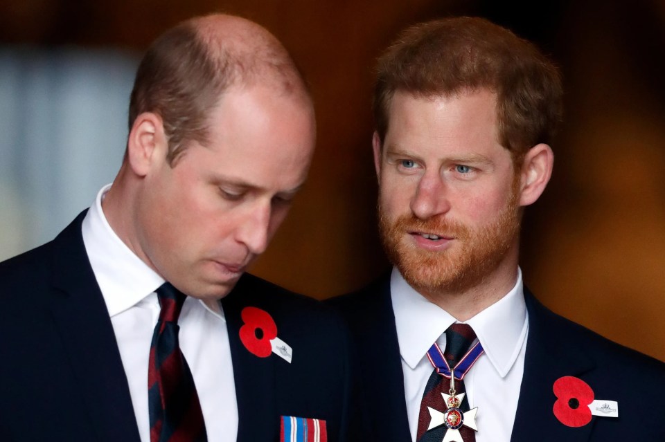 Prince William and Prince Harry at an Anzac Day service.
