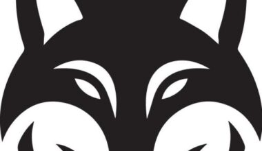Leicester City Manager Rumours Heating Up As Sheffield Wednesday Surprising Move Appear – TCF – FILBERT WAY