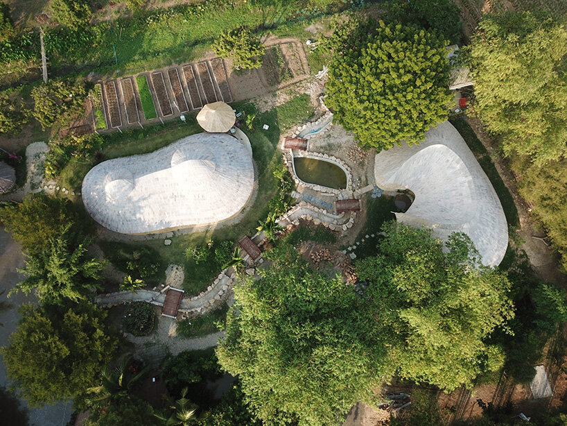 curved edges rise to form bull-like bamboo pavilion by chiangmai life architects in thailand