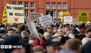 Farmers stage a protest in Cardiff Bay, with placards saying "no farmers, no food". Behind the crowd of people the red brick of Cardiff Pierhead building can be seen.