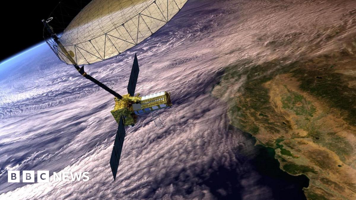 An artist's concept shared by Nasa on X of what the Nisar satellite will look like