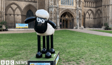 A statue of a sheep, who is Shaun the Sheep. He has white wool and skinny black legs, and a slightly vacant expression. The statue is outside Peterborough Cathedral.