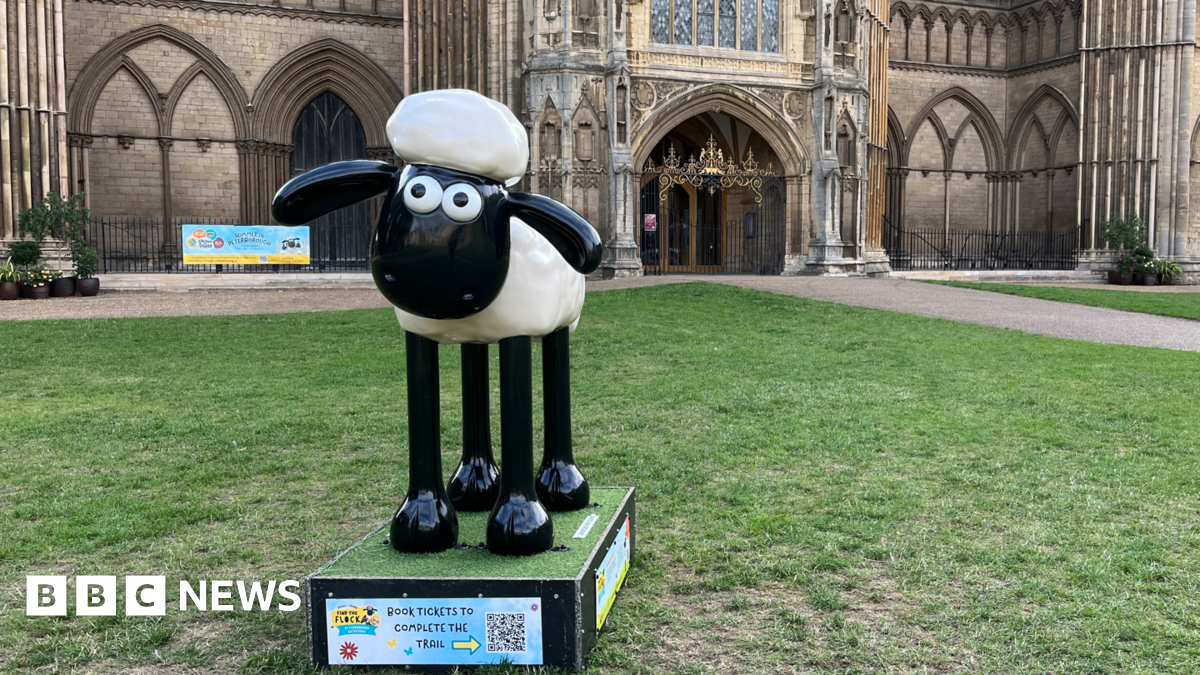 A statue of a sheep, who is Shaun the Sheep. He has white wool and skinny black legs, and a slightly vacant expression. The statue is outside Peterborough Cathedral.