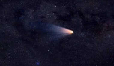 Dark comets