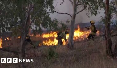 Police evacuate residents as wildfires rage in Spain