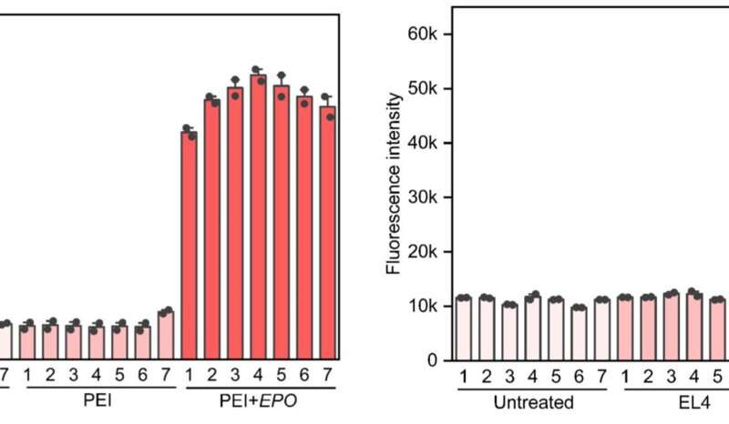 Developing next-generation analytical technique for gene and cell doping and ensuring ethics and fairness in sports