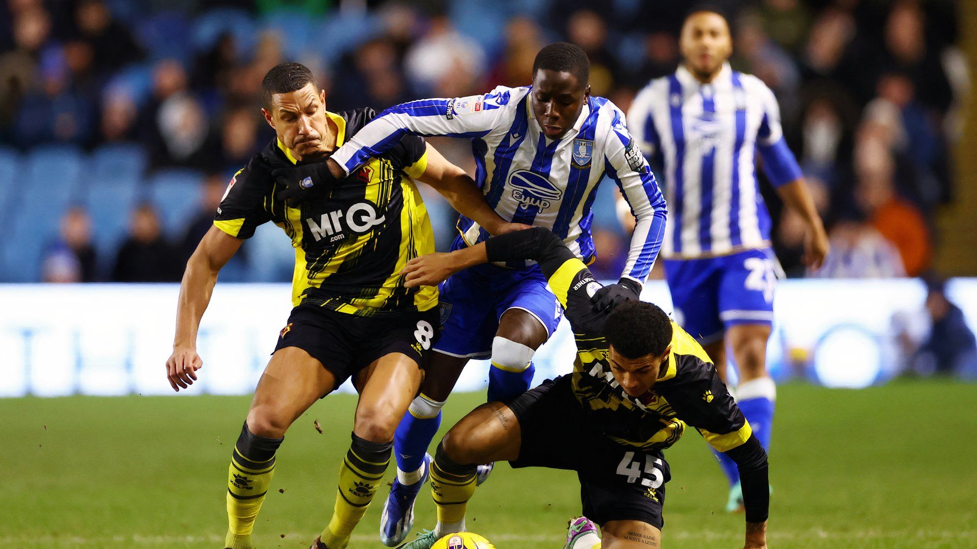 Djeidi Gassama for Sheffield Wednesday