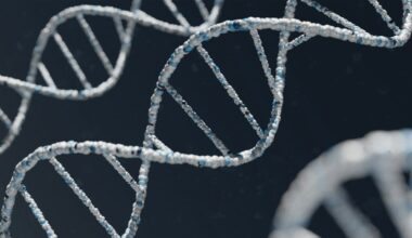 DNA is the most charged theme in Fuvest Biology test - News Room USA
