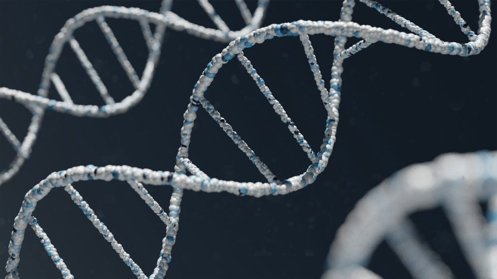 DNA is the most charged theme in Fuvest Biology test - News Room USA