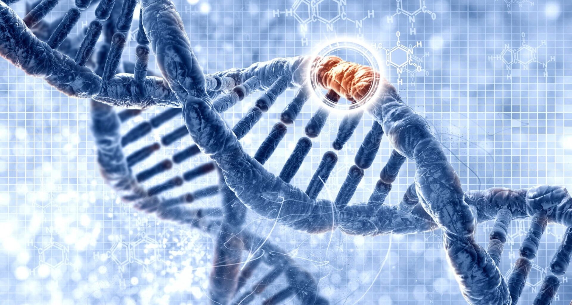 How fast does human DNA mutate? Scientists finally know