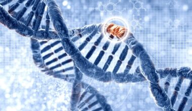 How fast does human DNA mutate? Scientists finally know