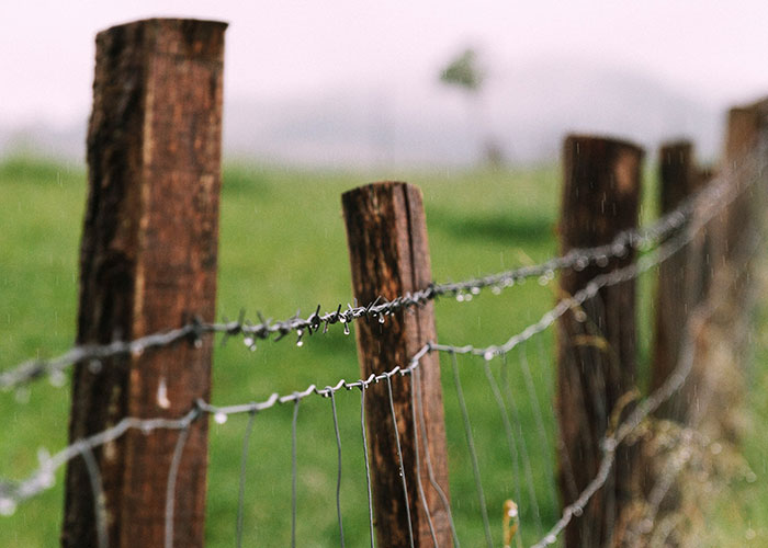 Rustic wooden fence with barbed wire in a rainy green field, illustrating delayed help and shocking consequences.