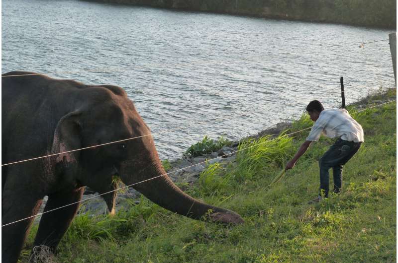 Don't feed the animals: Researchers warn of risks tied to wildlife interactions