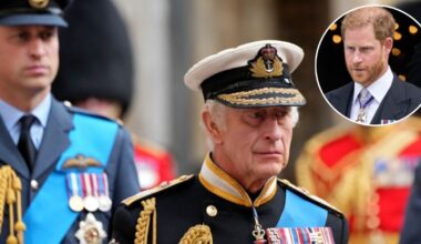 Prince Harry Gets Brutally Snubbed by Royal Family on Armed Forces Day as Feud Continues