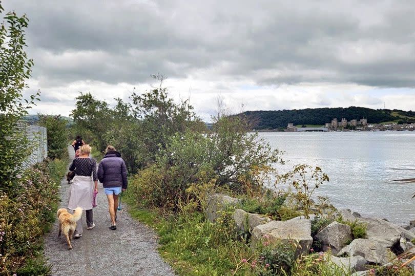 Walkers on the path at Deganwy are treated to views across the estuary to Conwy and its castle