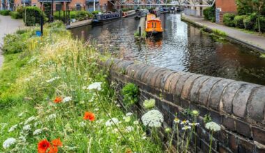 Birmingham named UK's first Nature City