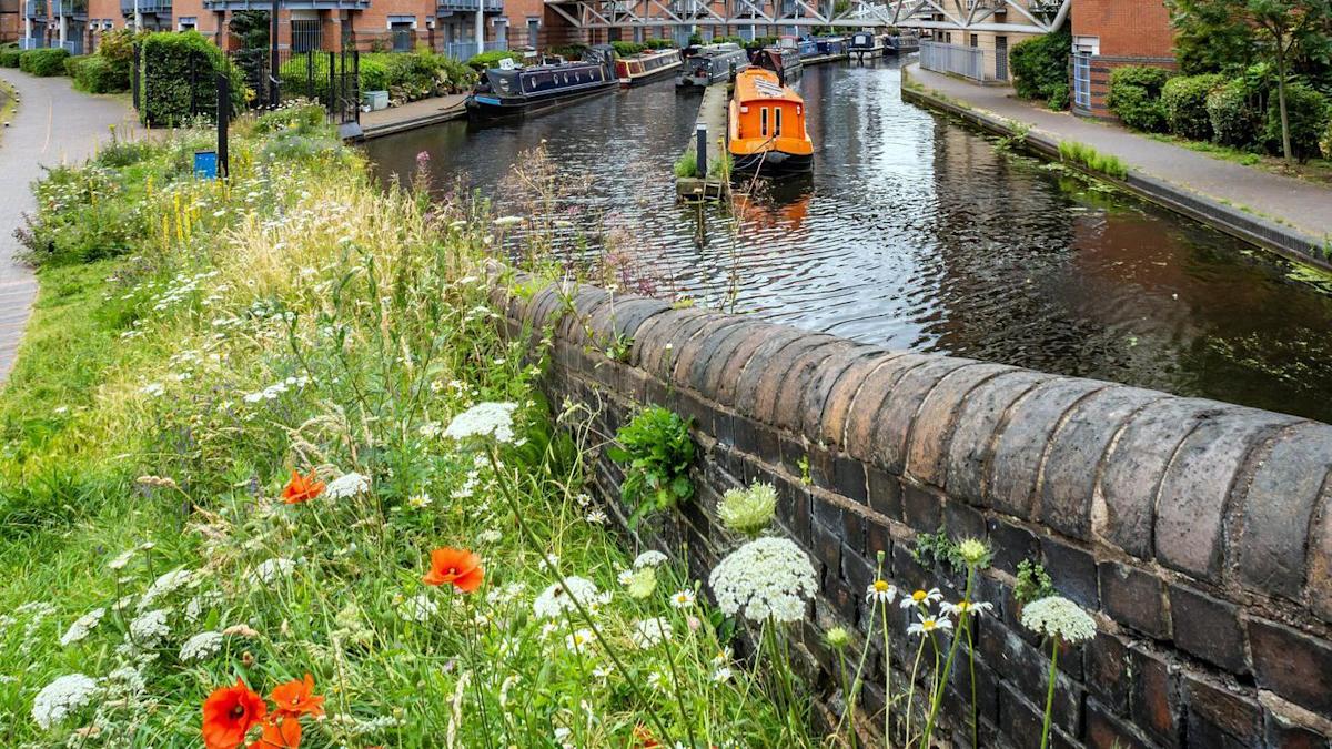 Birmingham named UK's first Nature City