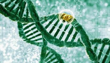 Video-Based Genetic Counseling Improves Comprehension in HBOC