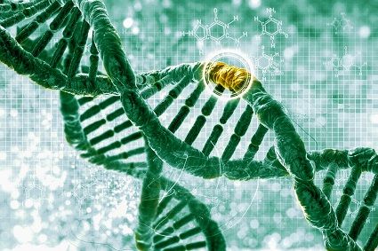 Video-Based Genetic Counseling Improves Comprehension in HBOC