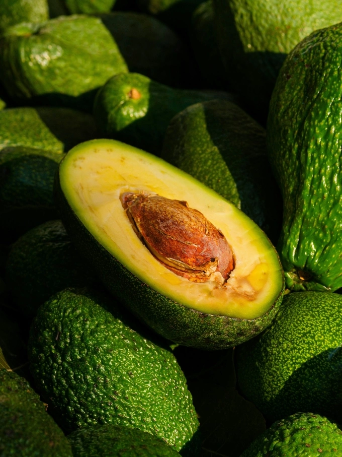 A pile of green avocados. Illustration photo by Unsplash