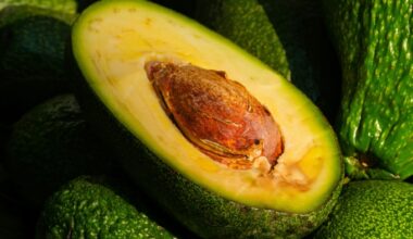 9 health benefits of eating avocados regularly